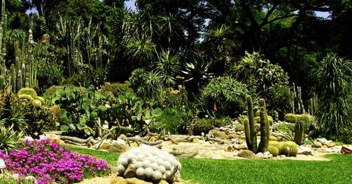 Campania Green: the Botanical Garden of Naples